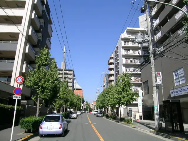 『寺内』周辺の道路は、歩道や街路樹が整備され、駅前ながら落ち着いた雰囲気。