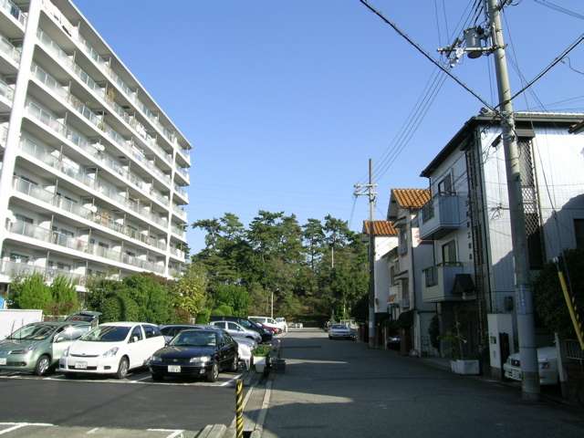 高川沿いは松林がきれいで、お散歩コースにもピッタリです。