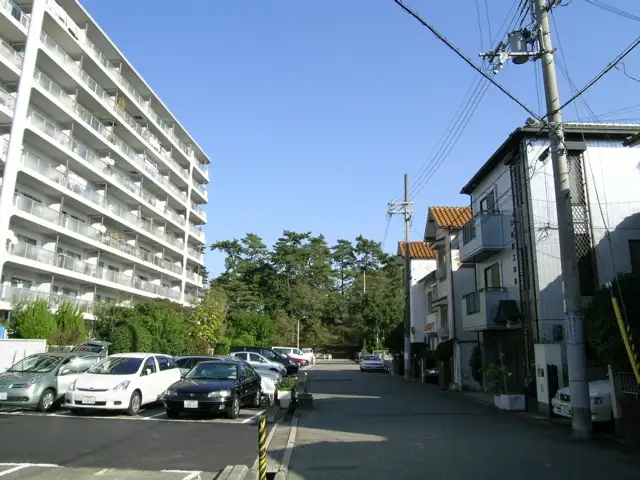高川沿いは松林がきれいで、お散歩コースにもピッタリです。