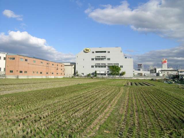 田圃も多く残っています。