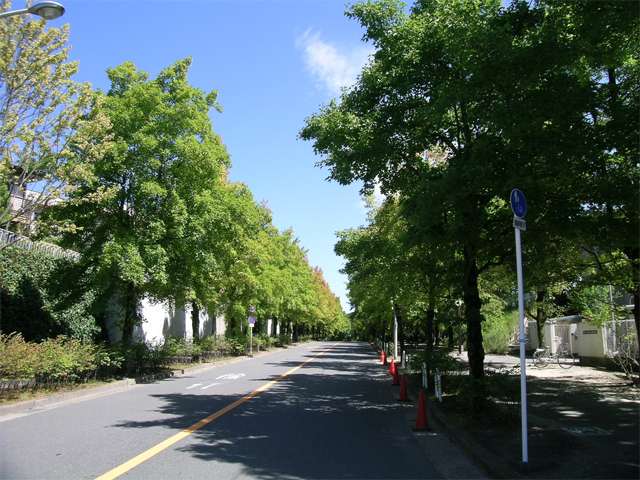 『藤白台4丁目』の住宅地の間を抜ける「三色彩道」。秋には紅葉が見事です。