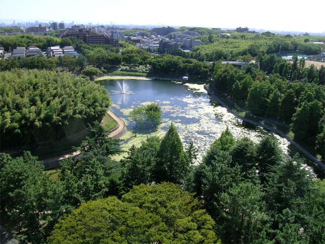 緑豊かな『桃山公園』 遊歩道やベンチが整備され、お散歩やジョギングコースにもピッタリです。