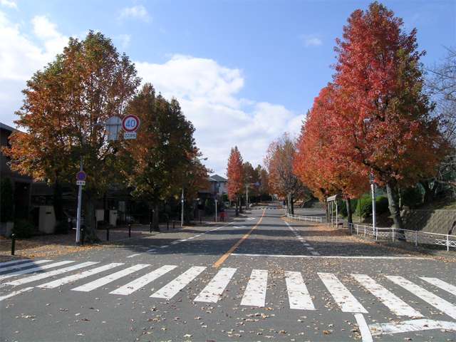 『佐竹台4丁目』と『佐竹台5丁目』の間を抜ける竹の子通り