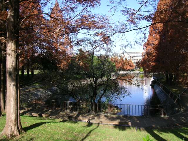 『佐竹台3丁目』には、緑豊かな『佐竹公園』があります。