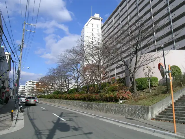 規模の大きなマンションが多く、通りは街路樹がきれいです。