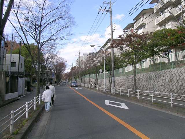 千里緑地に面した『山田西2丁目』周辺は緑豊かです。