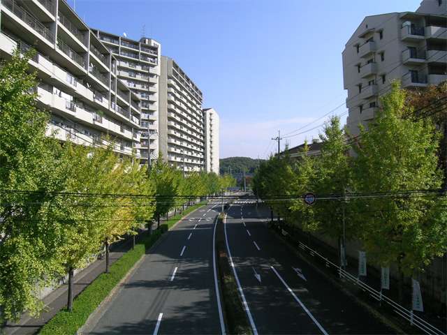街路樹のきれいな『五月が丘南』『五月が丘東』にある『星和プラネタウン』。突き当りは緑豊かな『紫金山公園』。