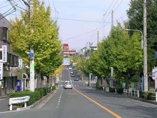 JR「吹田」駅に続く街路樹のきれいなバス通り