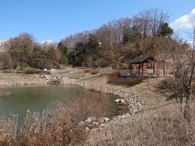 彩都西小学校の北側に隣接する『あさぎ里山公園』。園内には小川が流れており、散歩しながらせせらぎを楽しめます。