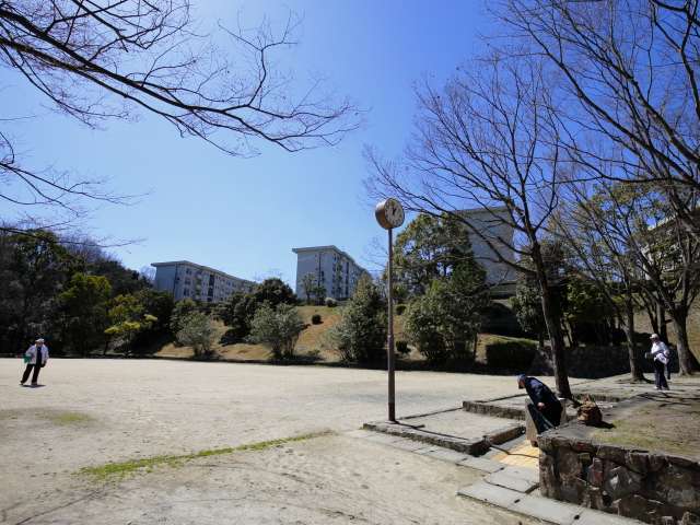 『郡山公園』は、新郡山の住宅地に隣接した公園です。山林に囲まれ、緑豊か。野鳥の姿も多く見かけます。