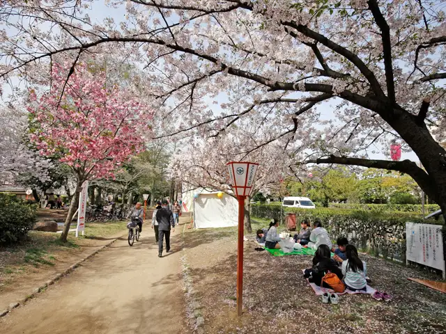 『元茨木川緑地』は、平成2年度に「大阪府緑の百選」に選ばれました。春には脇の桜が咲き誇ります。