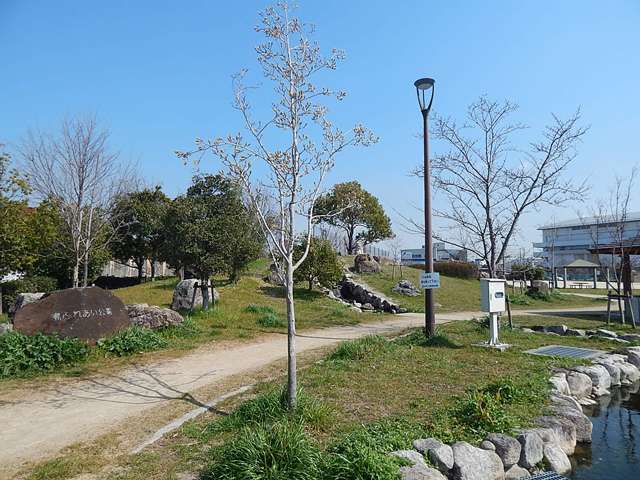 『島ふれあい公園』は島3丁目にある、アスレチック遊具やスプリング遊具、砂場が設置された公園です。園内には小川が流れ、魚が泳ぐ池もあります。