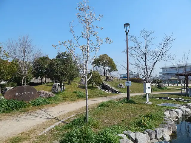 『島ふれあい公園』は島3丁目にある、アスレチック遊具やスプリング遊具、砂場が設置された公園です。園内には小川が流れ、魚が泳ぐ池もあります。