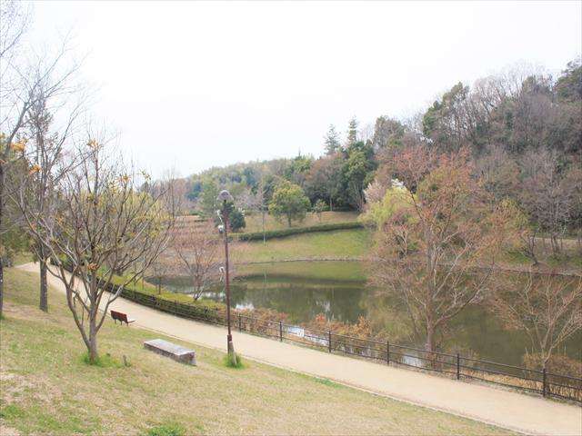 『上の池公園』。広場には足つぼや腹筋ベンチなどの健康遊具があり、約400mの外周でジョギングを楽しむこともできます。