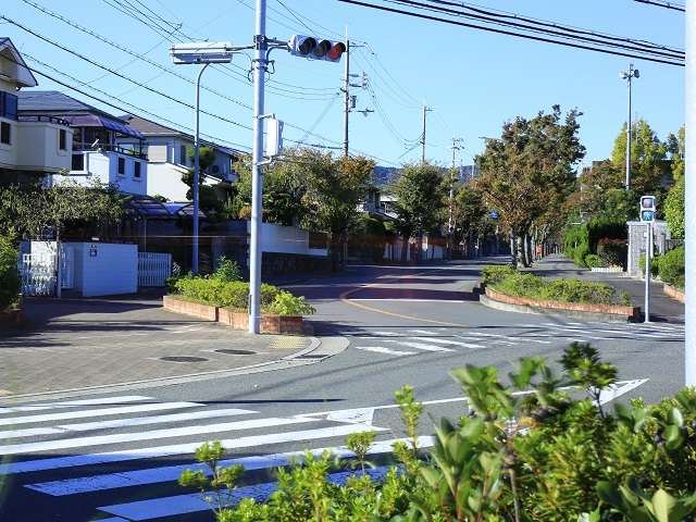 区画が整っており、二車線のメインの通りには街路樹が並んでいます。