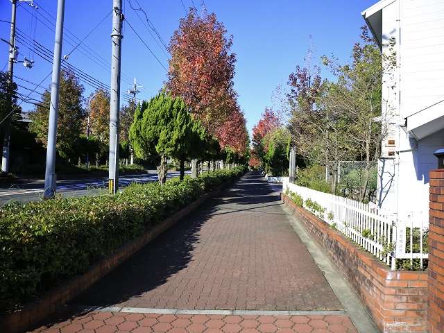 二車線の通り沿いには歩道、また町の各所にフットパスが設けられています。