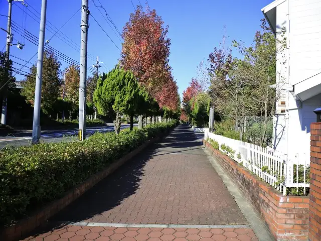 二車線の通り沿いには歩道、また町の各所にフットパスが設けられています。