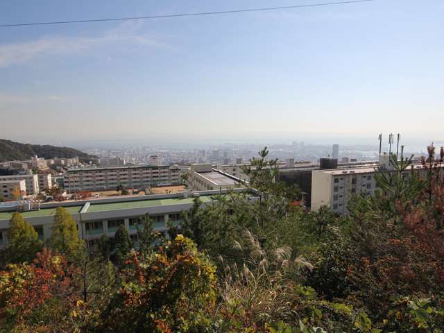 山に囲まれた自然豊かな住環境。マンションと一戸建てが混在しています。