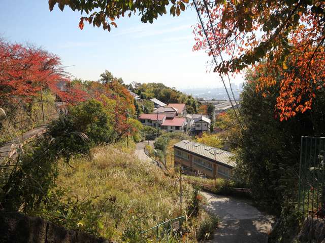 街の周囲は、山林に囲まれ、たいへん自然豊か。木々の色の変化から四季の移ろいが感じられます。