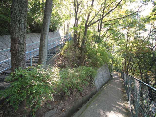 街の周囲は山に囲まれ、木々が多く、自然豊かです。野鳥もよく見られます。
