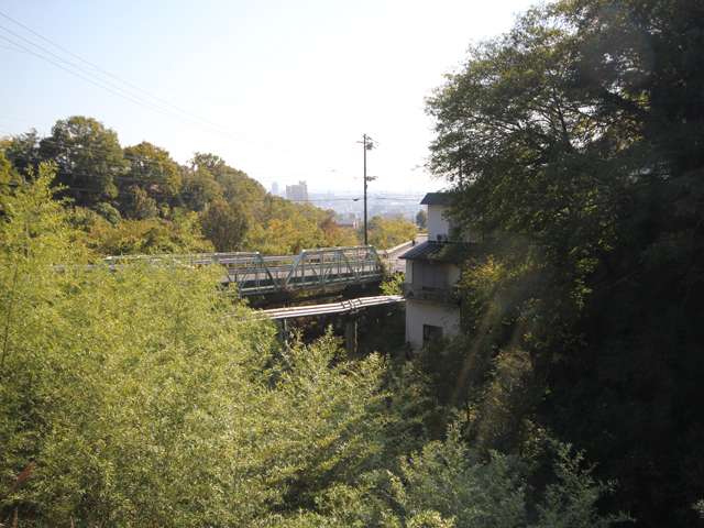住吉川の上流では、川沿いは木々が茂り、たいへん緑豊か。様々な生き物をみつけることも出来ます。