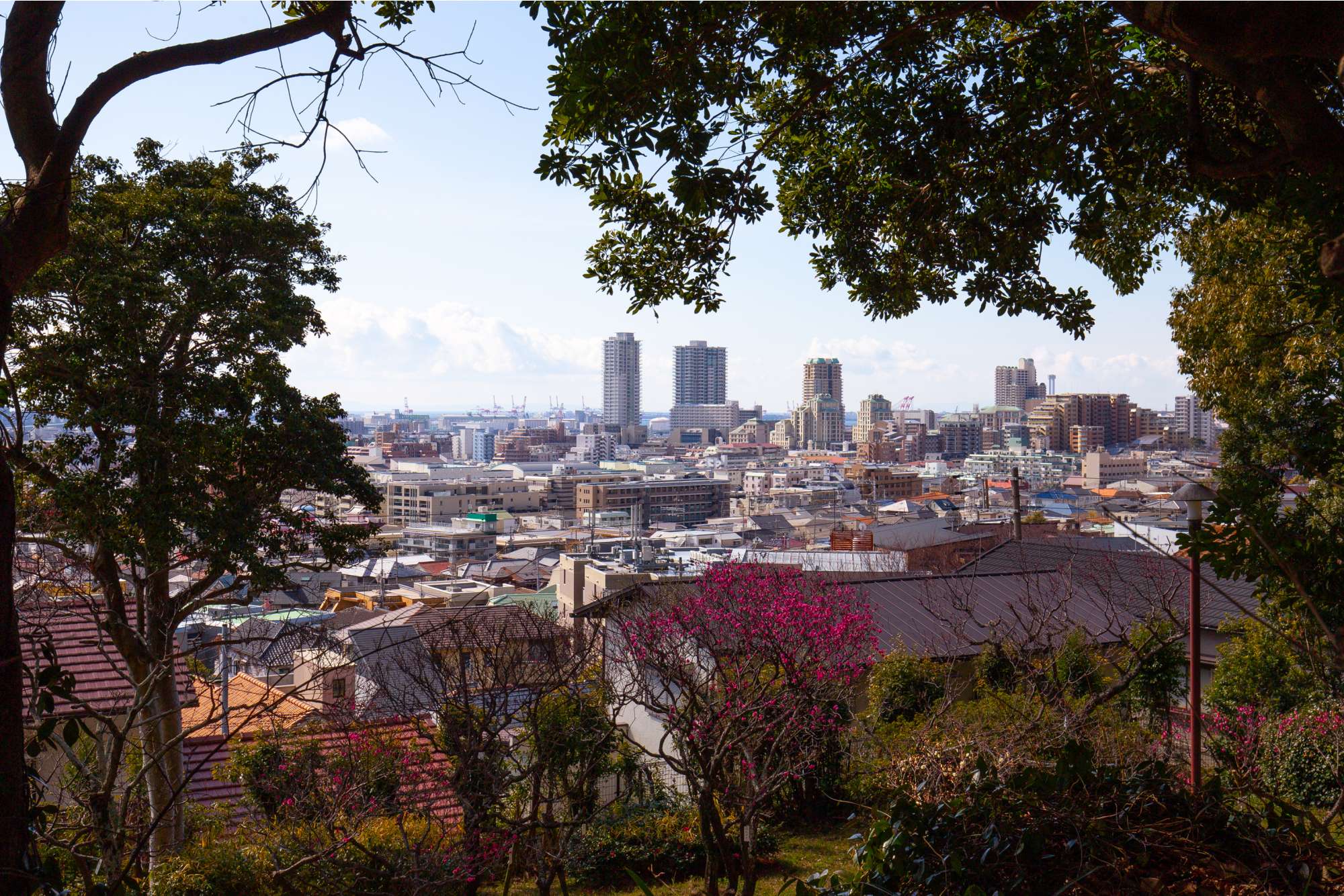 岡本山手エリア(神戸市東灘区)の地域情報と不動産の購入 | ウィル不動産販売
