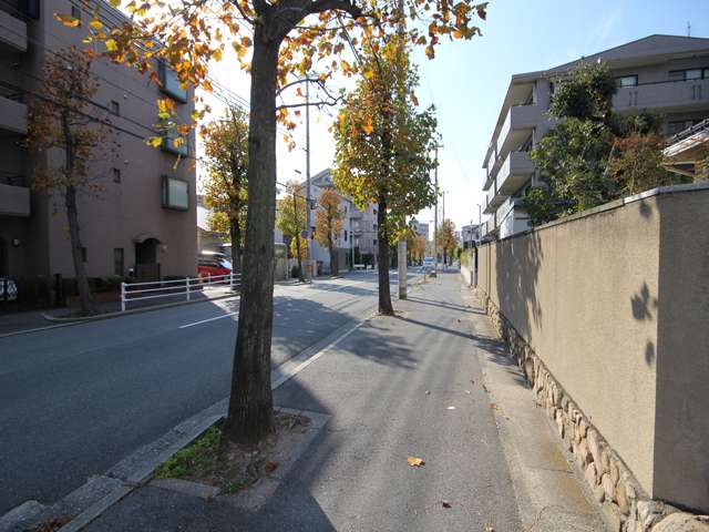多くの二車線の道には歩道、街路樹が設けられ、歩行者や街並みに配慮されています。