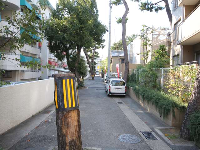 道路上の木も残されており、緑がキレイで、歩行者にやさしい道になっています。