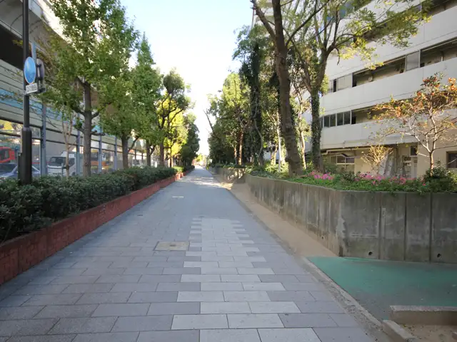 国道43号線沿いには、防音壁と植栽スペースが設けられています。また阪神高速もあり、車での移動に便利です。