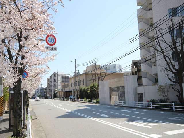六甲登山口付近。沿道には桜が植えられています。
