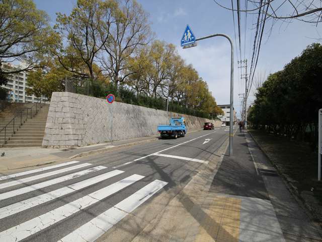 『大和公園』前の道路。公園内では野球やテニスを楽しむことも出来ます。