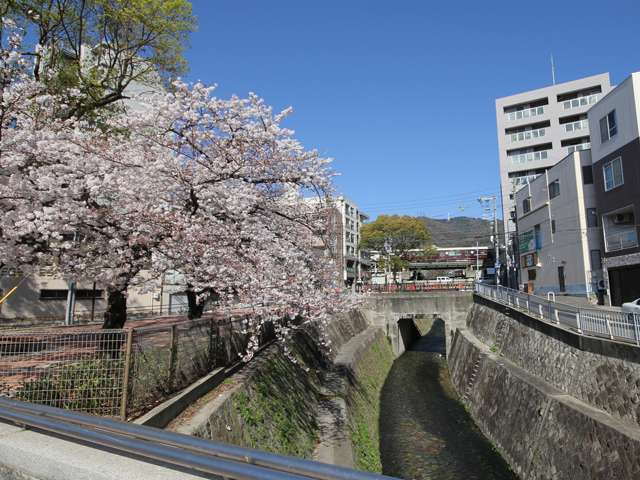 山手幹線からの西郷川の眺め。住宅の他、店舗や事務所も並ぶ賑やかな場所です。