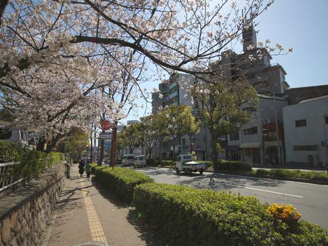 『王子公園』前の通り。交通量の多いバス通りですが、街路樹がキレイです。