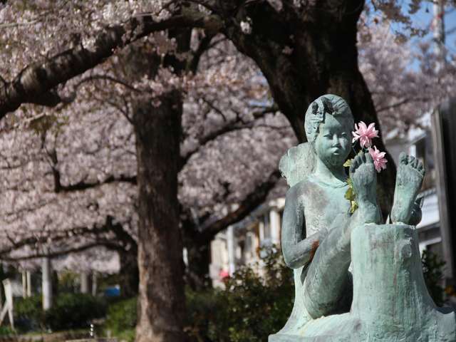 春には町のあちこちで、桜が楽しめます。