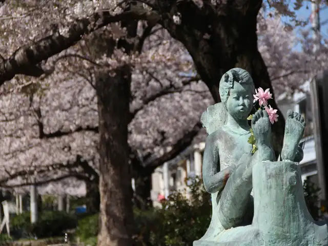 春には町のあちこちで、桜が楽しめます。