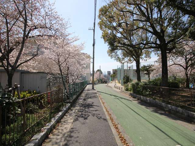 『福住小学校』横の通り。小学校の周囲には木が植えられ、すぐ横には公園もあります。