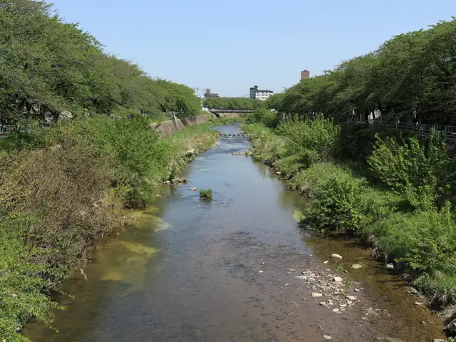 エリアの中央を東西に流れる香流川（かなれがわ）。川沿いは緑道やサイクリングロードになっており、地域住民の憩いの場になっています。