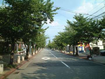 今津線以西エリア