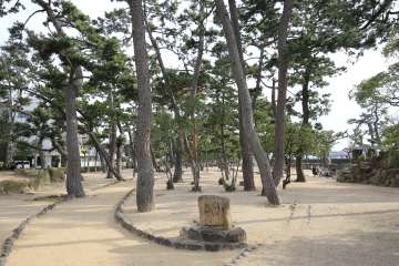 阪神芦屋駅以南エリア