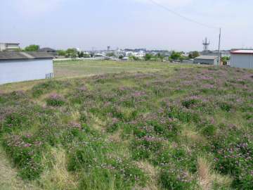 白島・石丸・外院周辺エリア