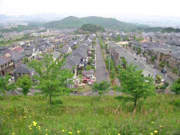 つつじが丘エリア