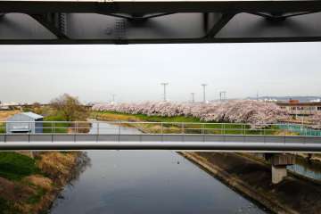 鶴野・学園町エリア