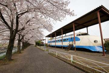 鳥飼(南西側)エリア