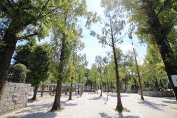 鳥飼(北東側)エリア
