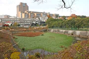 塩釜口・大坪周辺エリア
