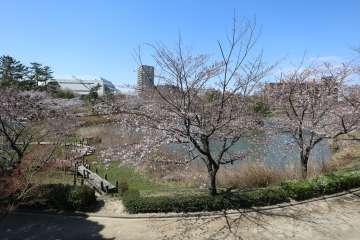 杁ケ池公園駅周辺エリア