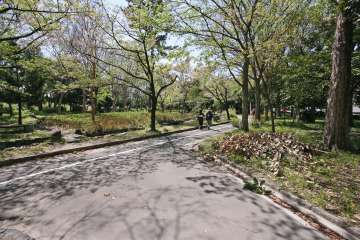 鳴尾・星崎・南野周辺エリア