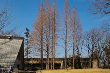 「本笠寺」駅〜「本星崎」駅周辺エリア