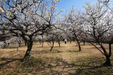『笠寺公園』周辺エリア