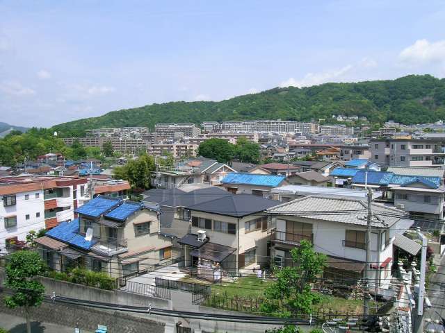 畑・五月丘・渋谷・緑丘・旭丘エリアの様子